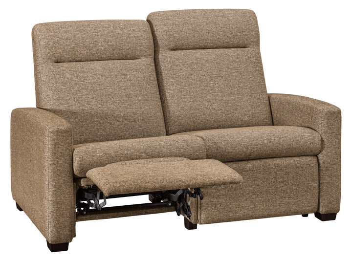 Harmony Reclining Loveseat